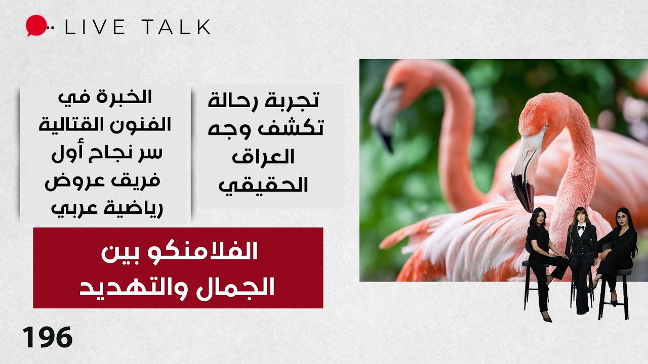 فيديو | الفلامنكو بين الجمال والتهديد - Live Talk  - الحلقة ١٩٦