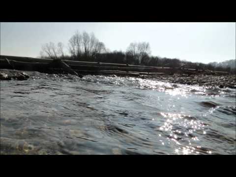 Sonny Wharton - Pandemonium (Eat More Cake Remix)