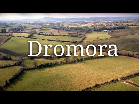 Dromora, Dromore (Northern Ireland) - A fine tractor