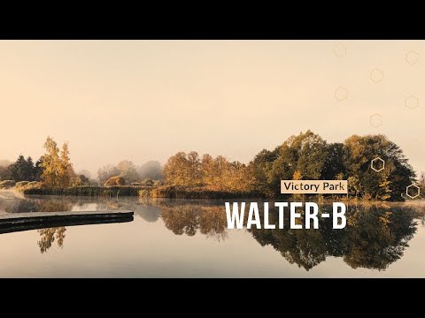 Walter-B - The Last Gold of Autumn (Atmospheric Drum & Bass Mix)