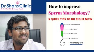 How to improve sperm morphology? Dr Shahs Clinic