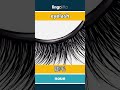 eyelash - 睫毛 video thumbnail