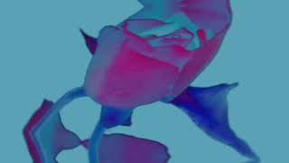 Assembly Of Dust  "Whistle Clock" Live  Music Video / Lyric Video