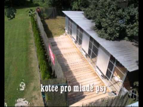 kennel Aykmar, www.aykmar.cz