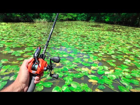 RECORD Day of FROG Fishing - LOADED w/ GIANT Bass Video