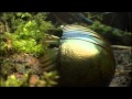 Safri Duo - Samb Adagio (Infite Emotional mix ...
