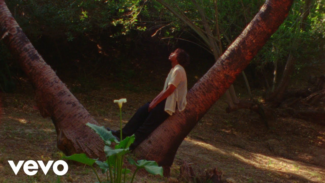 Lyrics & Translations of MARY JANE by Orion Sun Popnable