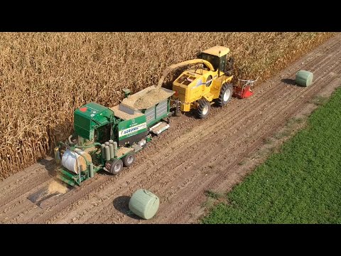 Chopping corn & silage baling in one pass!