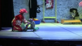 Le théâtre des chats de Moscou, un spectacle unique au monde