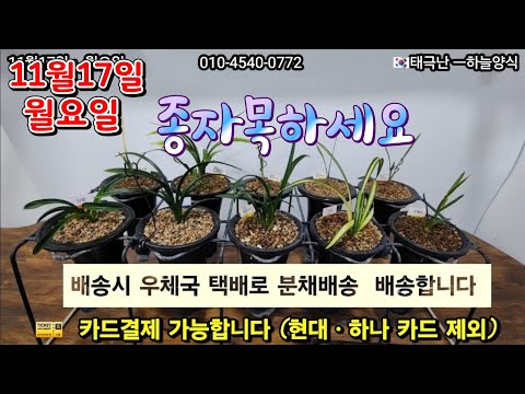 유튜브 썸네일