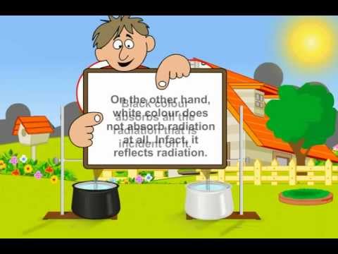 Black Colour Absorbs Radiations - CBSE Class 7 - Chapter Heat (Meritnation.com)