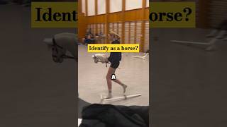 Download lagu Horse doll riding! Hobby Horse  jumping competition! mp3