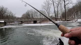Steelhead Fishing low clear river