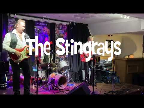 The Stingrays (UK) Miserlou  Instrumental