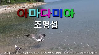 조장병(서비는군복무중)의  노래선물#조명섭 #아마다미아