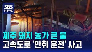 제주 돼지 농가 큰 불..고속도로 '만취 운전' 사고 / SBS