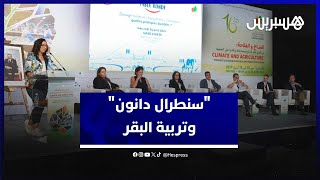 "سنطرال دانون" تلامس ابتكارات تربية البقر thumbnail