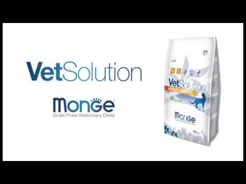 MONGE VETSOLUTION