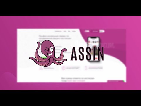 Видеообзор Assin.co