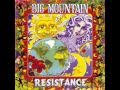 Big Mountain - Hooligans Dub 