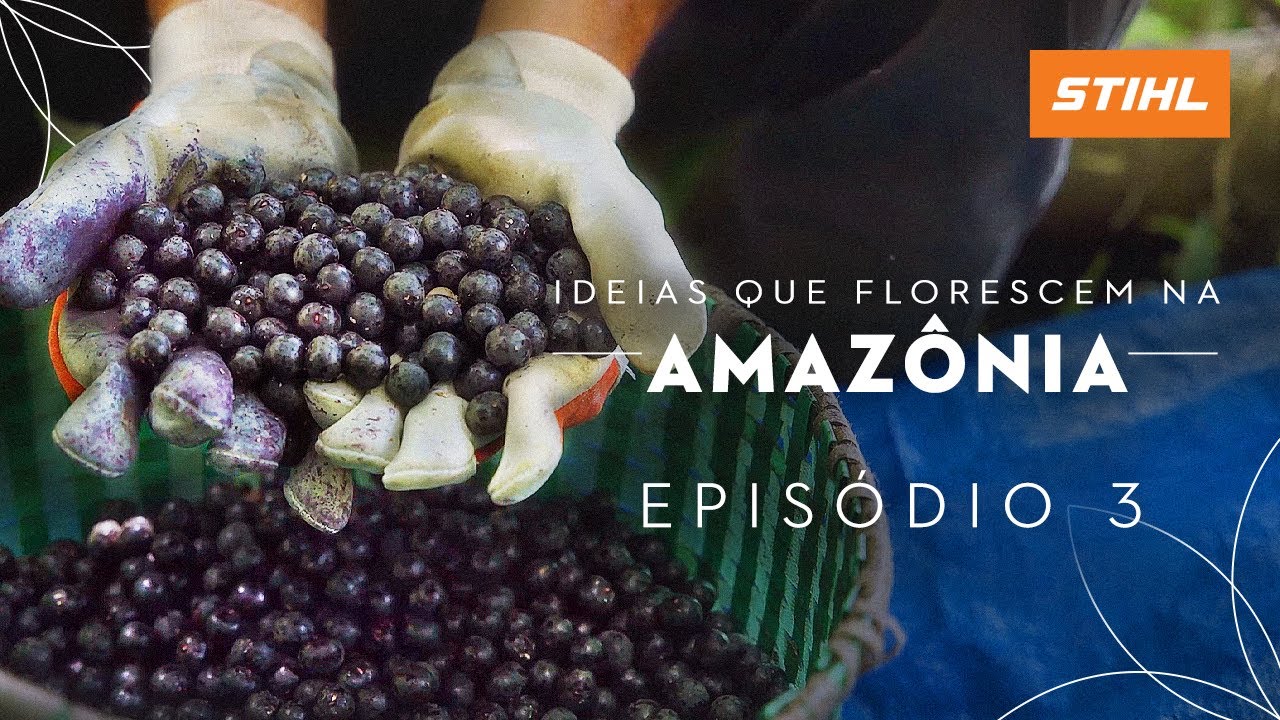 Sustainable acai berry cultivation | Ep. 3 - IDEAS THAT FLOURISH IN THE AMAZON