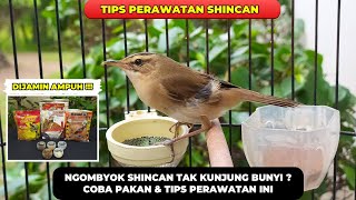 Download lagu RACIKAN PAKAN AMPUH❗BIKIN KERAK BASI ALIS HITAM BAHAN CEPAT BUNYI❗ mp3