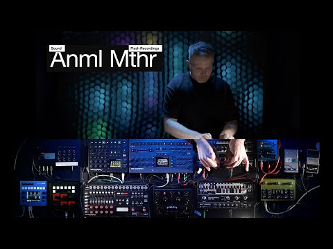 Anml Mthr - Table Top Shot #17 - TTS006.1