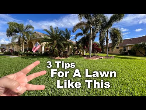 Florida Winter Lawn Care Tips