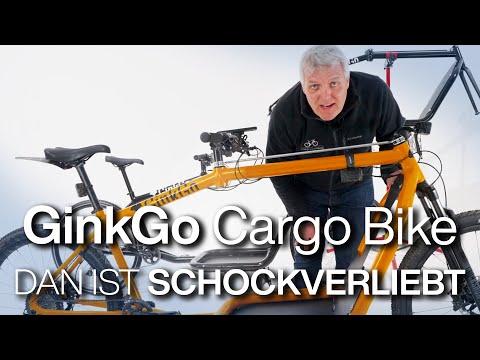 GinkGo cargo bike! 28" tires, no motor, under 18 kg, and plenty of customization options!