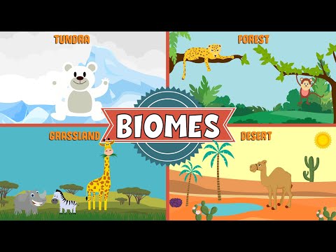 Biomes of the World | Types of Biomes | Video for Kids
