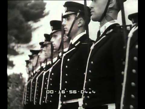 Gold medals
the fallen of the island of Leros