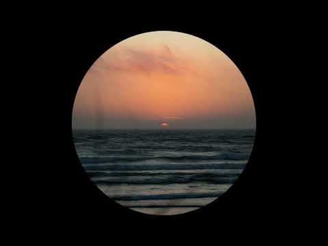 Pedro Duarte - Recall