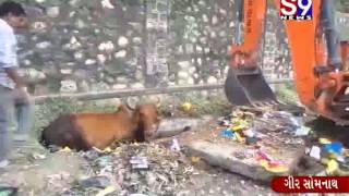 GIRSOMNATH MA KHULI GATAR NA KARNE LOKO PARESHAN