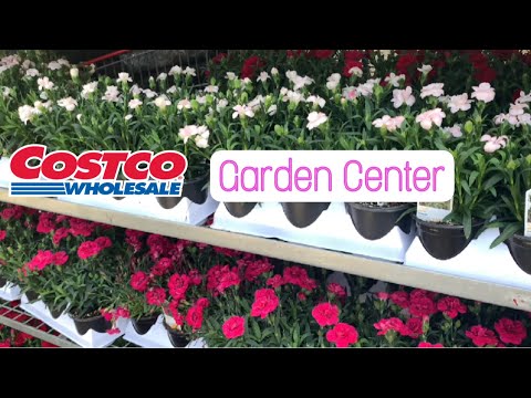 Costco Garden Center Is Open | Shop With Me