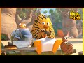 SOS Meteorito La Pandilla De La Selva 95 Compilación Dibujos Animados Para Niños