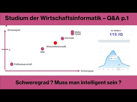 Schweregrad Studium Wirtschaftsinformatik  (Q&A p1)