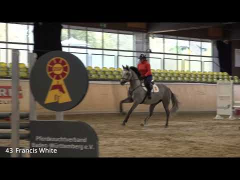 KN 43 Francis White *2020 Stute v. Hickstead White - Lewinski