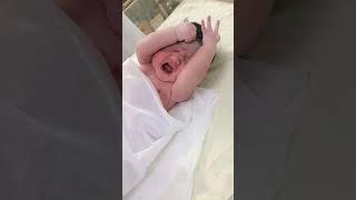 Download lagu Bayi Baru Lahir Aderobobal 💞👌 #ytshortsvideo #bayilucu #bayibarulahir mp3