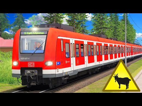 ACHTUNG Ziege! | BR 423 - Regionalbahn | TRAIN SIMULATOR 2020 | Mittenwaldbahn - Karwendelbahn RSSLO