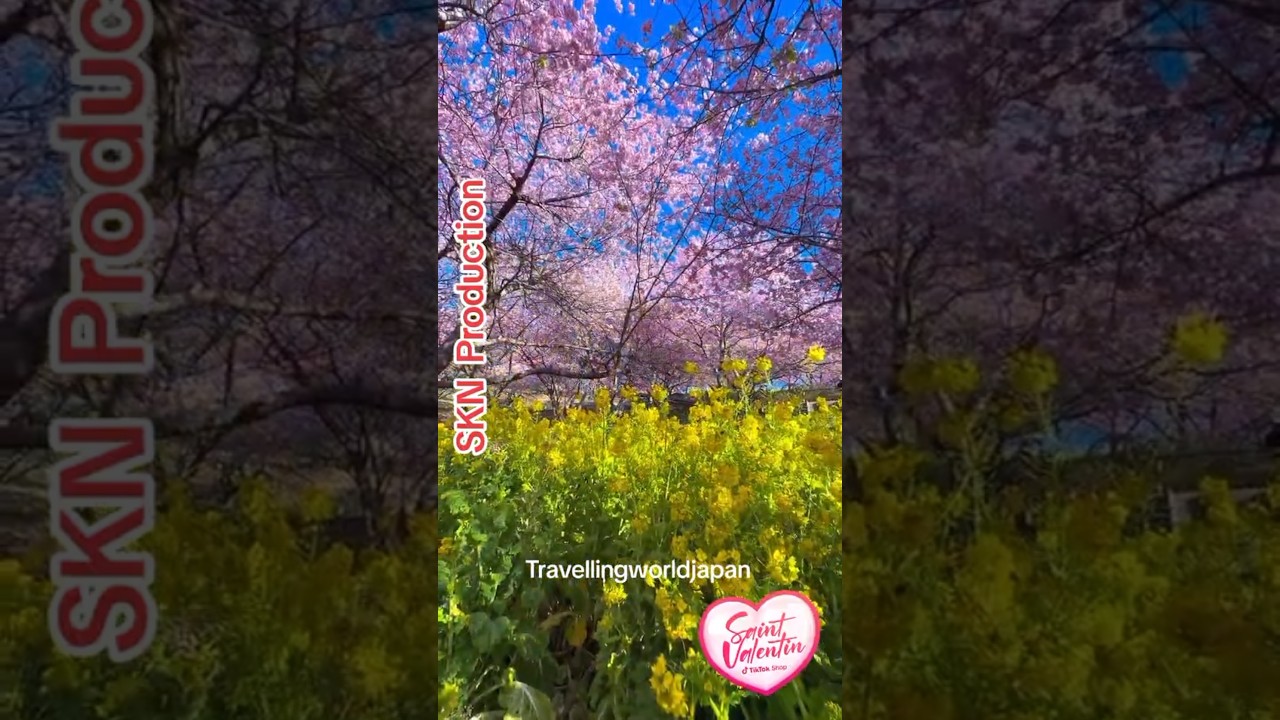 Tokyo Vibes 🇯🇵 | Cinematic Journey Through Japan’s Capital