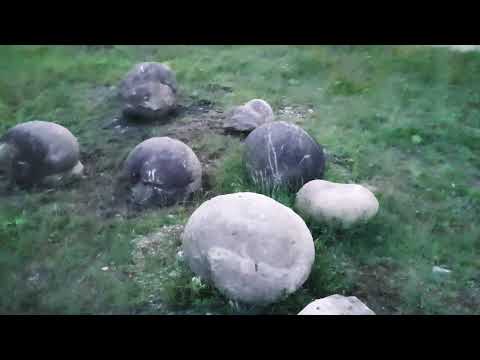 Trovanții din Sălătrucel