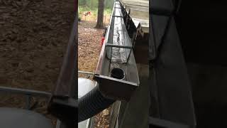 Rain water harvesting in the rain