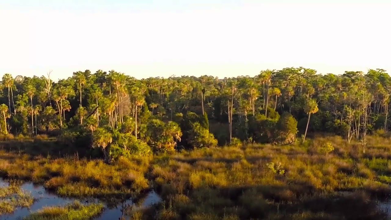 documentory for a small town in fl