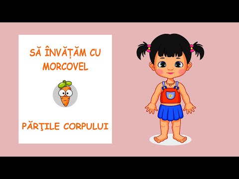 Sa invatam cu Morcovel - Partile Corpului