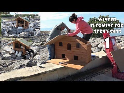 Tough Winter is Coming for Stray Cats - Construction of Prefab Cat House for Homeless Cats. 1 in 10
