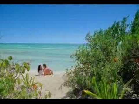 Beaux Arts Ball 2007