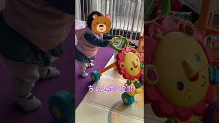 歩行練習の成果かな #shorts #メルボルン生活 #海外在住ママ #赤ちゃんのいる生活 #歩行練習 #11ヶ月ベビー