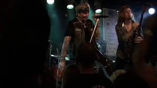 Desert Moon Jack Russell&#39;s Great White - Denver