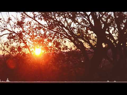 Relax Music | Niklas Gustavsson - Sunrise In Sacramento 1