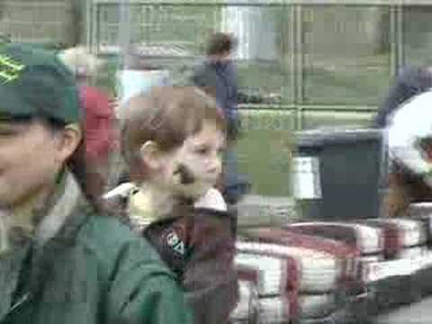 Pferdemesse Hollabrunn aus Kinderaugen